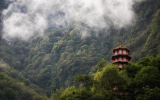 Картинка леса, зелет, Taroko Gorge, Taiwan, туман, горы