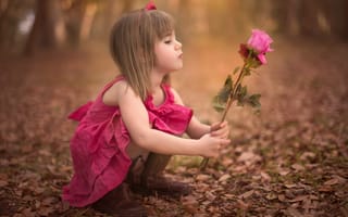 Картинка девочка, роза, baby, ребенок, flower, rose, осень, girl, цветок, autumn
