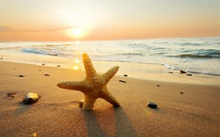 Обои природа, sunset, лето, starfish, небо, sun, облака, beach, пляж, sand, ocean, закат, море, sea