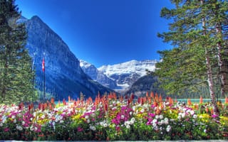 Картинка banff national park, деревья, цветы, canada, снег, горы, озеро, alberta, клумба, небо