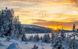 Картинка зима, закат, вечер, Швеция, лес