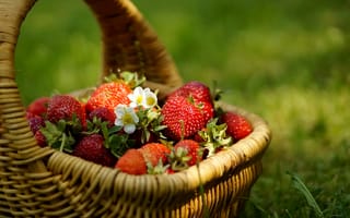 Картинка Клубника, корзинка, ягоды, цветочки, трава