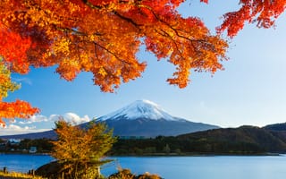 Картинка осень, япония, гора, деревья, фудзияма, небо, листья, снег, озеро, лес