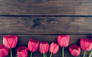 Обои цветы, spring, tulips, romantic, букет, pink, розовые тюльпаны, wood, тюльпаны