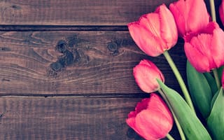 Картинка цветы, букет, розовые тюльпаны, pink, wood, тюльпаны, spring, romantic, tulips