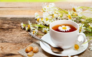 Картинка кружка, чай, ромашки, напиток, цветы, ложечка, блюдце