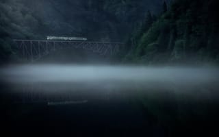 Картинка лес, река, поезд, туман, утро
