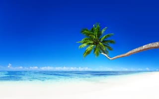 Картинка tropical, paradise, песок, остров, море, sea, palm, берег, солнце, тропики, beach, summer, океан, ocean, пляж, coast