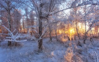 Картинка зима, пейзаж, закат, Орск, пейзажи, природа, Оренбуржье, погода