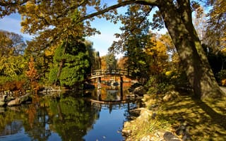 Картинка небо, пруд, осень, мост, парк, деревья
