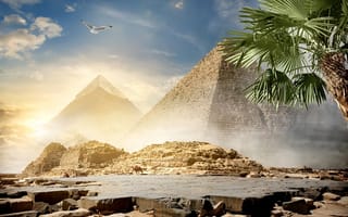 Картинка солнце, Cairo, фотошоп, пустыня, пирамиды, птица, Египет, пальма, небо, облака, верблюды, камни