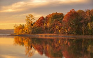 Картинка осень, озеро, отражение, лес