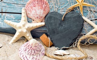 Картинка seashells, marine, морские звезды, камушки, сетка, net, пляж, дерево, starfish, песок, ракушки, wood