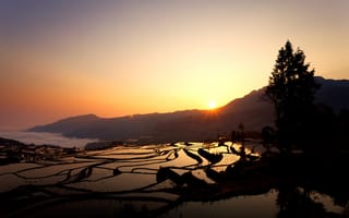 Картинка рисовые поля, восход, Duoyishu