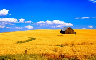 Обои поле, небо, дом, пейзаж, пшеница, облака