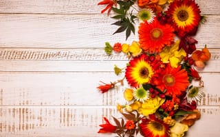 Картинка осень, листья, композиция, цветы, floral, wood, frame, autumn, flowers, leaves