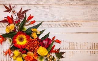 Картинка осень, листья, композиция, цветы, floral, wood, leaves, flowers, frame, autumn