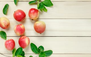 Картинка листья, яблоки, ветки, фрукт