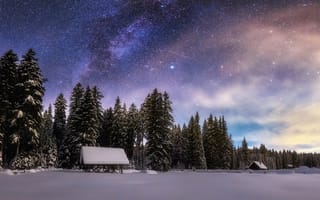 Картинка лес, небо, ночь, снег, звезды, зима