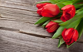 Картинка цветы, букет, love, red, wood, flowers, тюльпаны, romantic