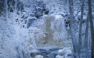Картинка Швеция, речка, лес, ручей, снег, деревья, зима, иней