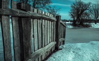 Картинка дерево, зима, забор, снег