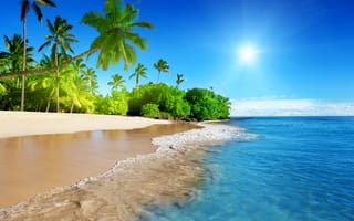 Обои tropical, palm, sea, пляж, море, summer, vacation, blue, океан, coast, sand, paradise, sunshine, песок, солнце, тропики, beach, ocean, небо, берег, sky, emerald