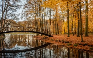 Картинка парк, деревья, мост, Netherlands, отражение, озеро, осень, Брюммен, Нидерланды, Brummen, Voorstonden, Ворстонден