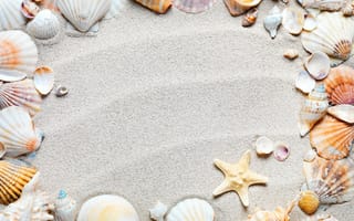 Обои seashells, пляж, песок, ракушки, рамка, starfish, sand