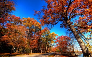 Картинка небо, листья, осень, пейзаж, дорога, деревья