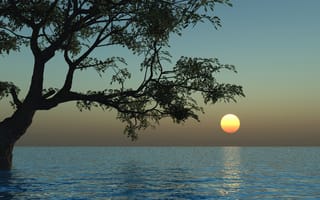 Картинка вода, солнце, деревья, закат, природа