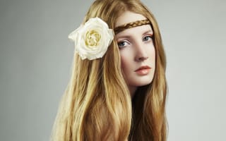 Картинка девушка, длинные волосы, косичка, лицо, белая роза, взгляд, цветок