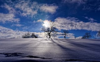 Картинка зима, небо, снег, облака, деревья, Германия