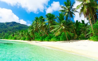Обои tropical, остров, sand, paradise, sea, океан, summer, blue, beach, пальмы, palm, солнце, ocean, море, emerald, vacation, берег, песок, пляж, тропики, coast