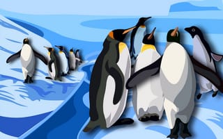 Картинка пингвины, рисунок, юг, птицы, антарктида