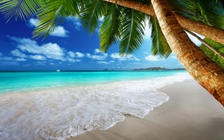 Картинка tropical, море, paradise, sea, coast, ocean, песок, пальмы, vacation, emerald, palm, остров, берег, тропики, beach, океан, пляж, солнце, sand, blue, summer