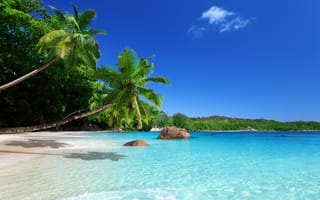Обои tropical, песок, берег, солнце, море, summer, paradise, небо, vacation, пляж, sky, тропики, sea, пальмы, sand, coast, blue, palm, beach, ocean, sunshine, emerald, океан