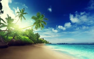 Картинка tropical, coast, море, paradise, sea, берег, солнце, ocean, океан, emerald, vacation, пальмы, summer, palm, остров, blue, тропики, sand, песок, пляж, beach