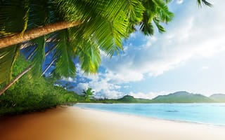 Обои tropical, тропики, песок, океан, sand, sunshine, море, sky, sea, emerald, берег, vacation, palm, beach, coast, summer, пляж, ocean, небо, солнце, пальмы, paradise, blue