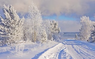 Картинка зима, мороз, иней, дорога, природа, снег
