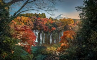 Картинка осень, лес, Водопад Шираито, гора, деревья, Фудзияма, водопад, Япония, вулкан, Shiraito Falls, Fujinomiya, Mount Fuji, Фудзиномия, Japan