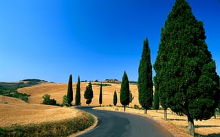 Обои деревья, дорога, поля, Италия, холмы, Тоскана, небо