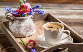 Картинка цветы, чашка, кофе