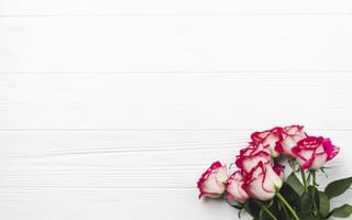 Картинка цветы, розы, букет