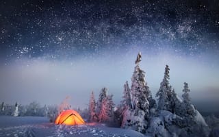 Обои лес, зима, палатка, небо, снег, ночь, звезды
