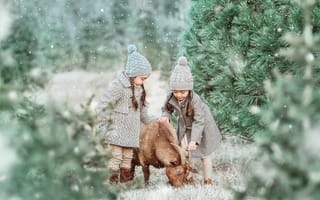 Картинка лес, сестрички, деревья, снег, коза, настроение, две девочки