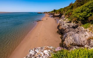 Картинка море, зелень, небо, цветы, камни, побережье, трава, горизонт