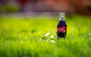 Картинка Кока-Кола, Coca-Cola, весна, трава, макро, природа, бутылка, напиток, бутылочка