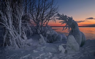 Картинка закат, Канада, Залив Уайтфиш, Ontario, зима, озеро, Lake Superior, снег, Whitefish Bay, Онтарио, деревья, Озеро Верхнее, Canada