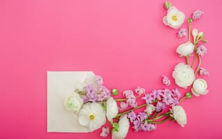 Картинка цветы, лепестки, pink, white, petals, розовые, композиция, floral, белые, flowers